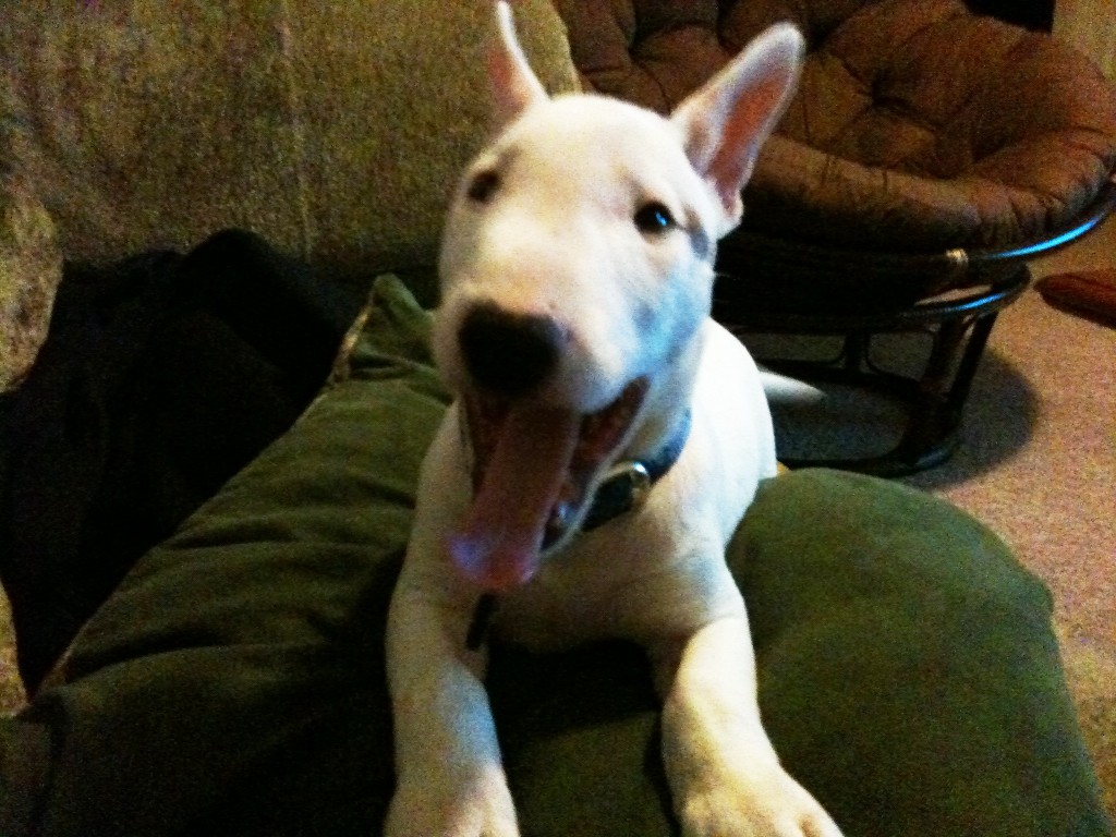 Benny